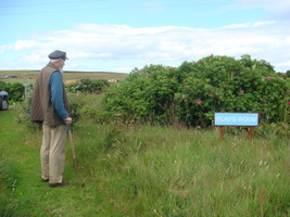 Olav Dennison - Olav's Wood